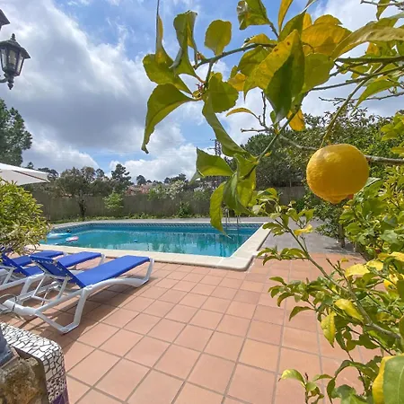 فيلة Club Villamar - Pablo *