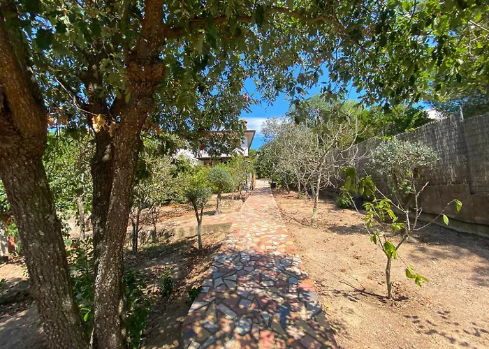 Club Villamar - Pablo *